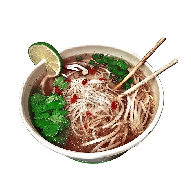 PhoLicious Vegetarian Instant Pho, 3.6 oz., 4 pk. 5