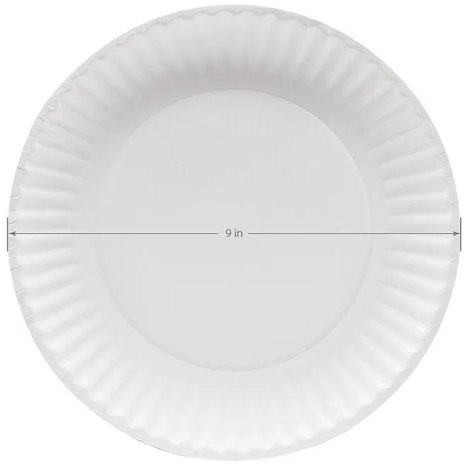 Super Strong Heavy-Duty Paper Plates, 9", 600 ct. 4
