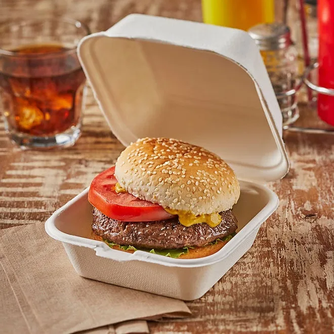 Hefty ECOSAVE Sandwich Hinged Lid Container (6" x 6", 100 ct.) 4