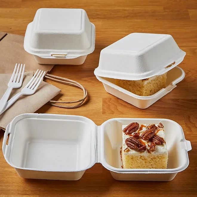 Hefty ECOSAVE Sandwich Hinged Lid Container (6" x 6", 100 ct.) 5