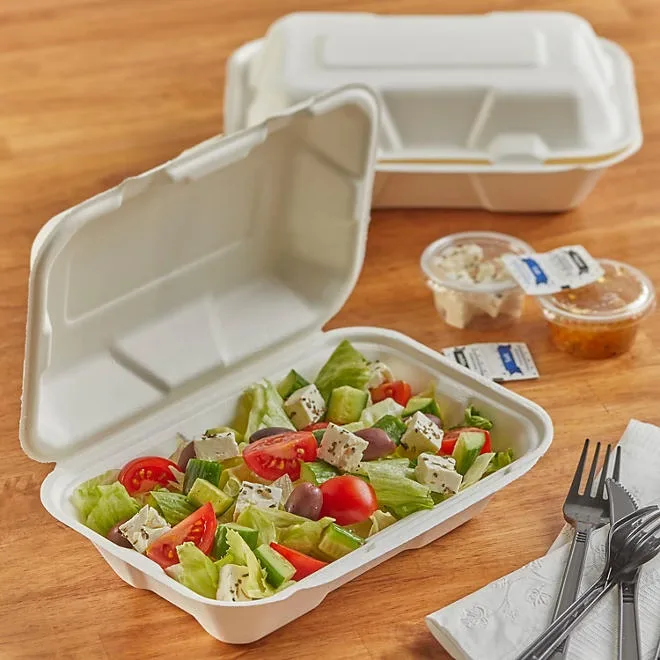 Hefty ECOSAVE Hoagie Hinged Lid Container, 9" x 6" , 75 ct. 4