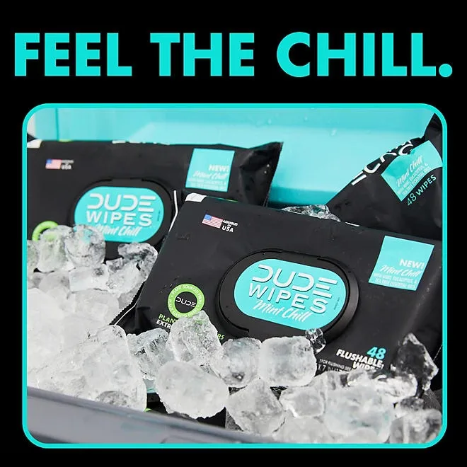 DUDE XL Flushable Wipes, Mint Chill, 8 ct., 400 wipes 5