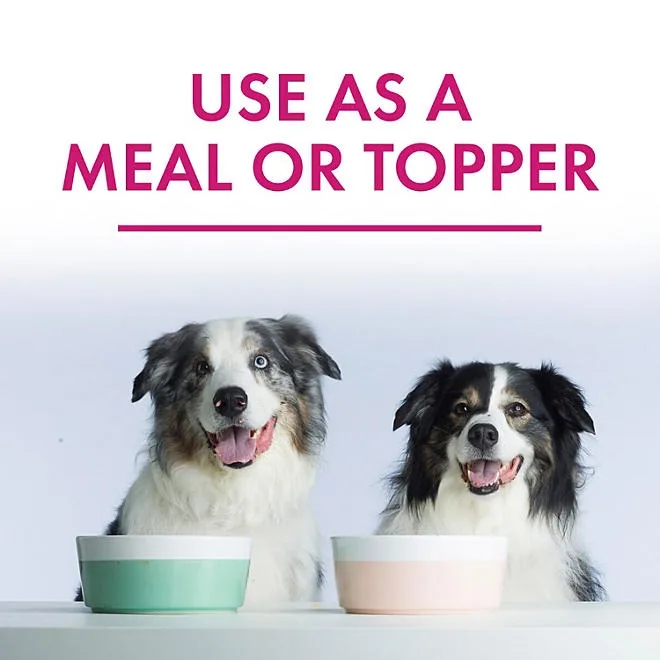 Member's Mark Turkey Stew with Vegetables Wet Dog Food, 11 oz., 24 boxes 5