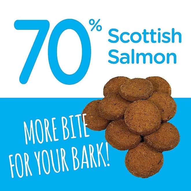 Snif-Snax Scottish Salmon Bites Dog Treats 48 oz. 5