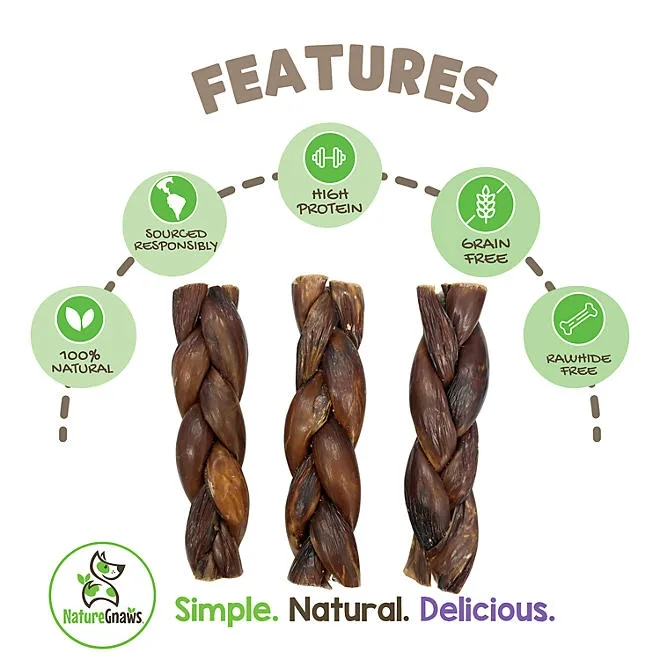 Nature Gnaws Beef Braid Dog Treat Chews, 1 lb. 3