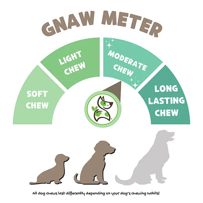 Nature Gnaws Beef Braid Dog Treat Chews, 1 lb. 4