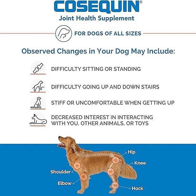 Nutramax Cosequin Maximum Strength Joint Health Dog Supplement with MSM and Hyaluronic Acid, 180 ct. 5