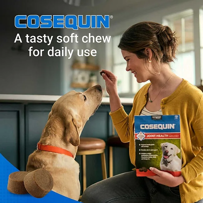 Nutramax Cosequin Joint Health Supplement for Dogs with Glucosamine, Chondroitin, MSM, Omega-3's and HA, 150 Soft Chews 5