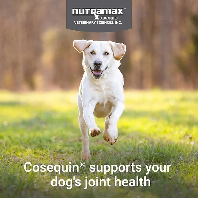 Nutramax Cosequin Joint Health Supplement for Dogs with Glucosamine, Chondroitin, MSM, Omega-3's and HA, 150 Soft Chews 4