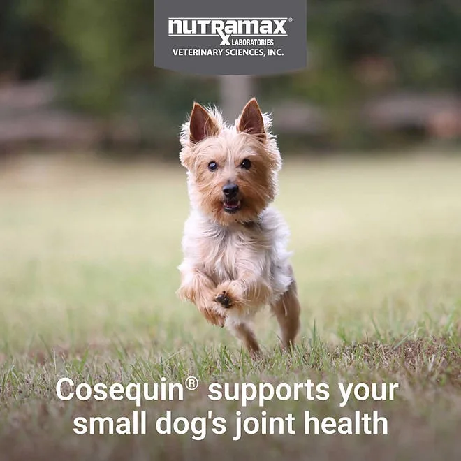 Nutramax Cosequin Minis Maximum Strength Joint Health Supplement, 45 Soft Chews 5