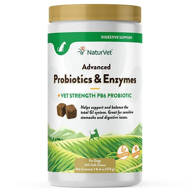 NaturVet, Advanced Probiotics and Enzymes Soft Chews for Dogs, 240 ct. 2
