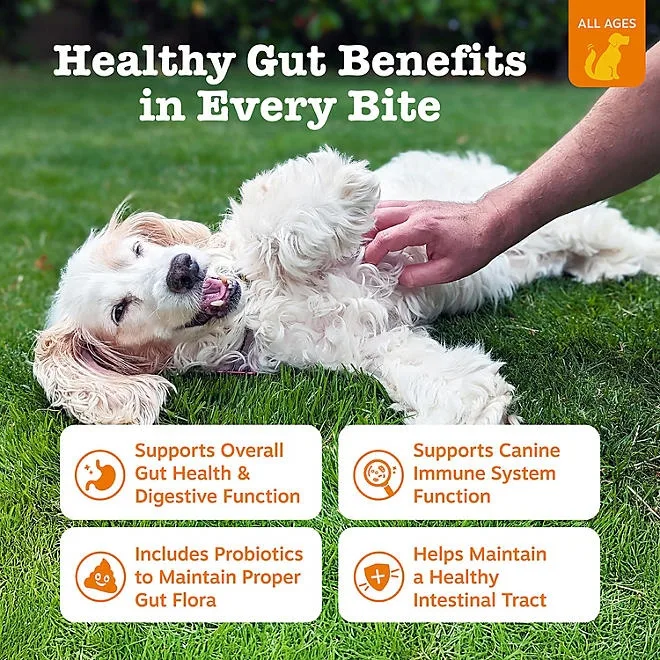 Zesty Paws Probiotic Bites, Pumpkin, 160 ct. 5
